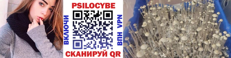 Псилоцибиновые грибы ЛСД  купить   Черноголовка 